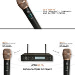 Xtreme Acoustics XAB02G Professional UHF Wireless Handheld Dual Channel Microphone System for Singing, Amplifier PA Mixer (Gold) - Image 6